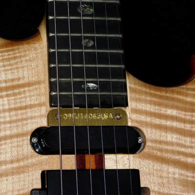 Alembic Further Stage Electric Guitar*Excellent*2009*OHSC* image 10