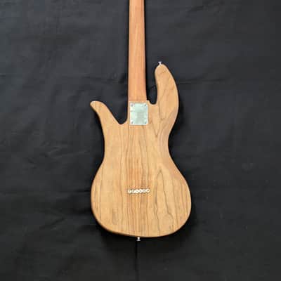 Ashby instruments guitar 2025 image 4