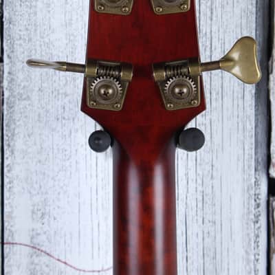Takamine TB10LH 4 String Fretless Upright Acoustic Electric Bass Guitar w Case image 19