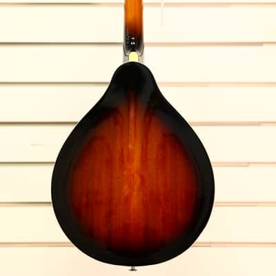 Ibanez M510-BS 2025 - Brown Sunburst High Gloss image 3