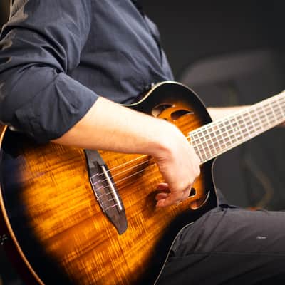 Ortega RTPDLX-ACA TourPlayer Series Solid Okoume Body Slim Neck Nylon 6-String Acoustic-Electric Guitar w/Gig Bag image 18