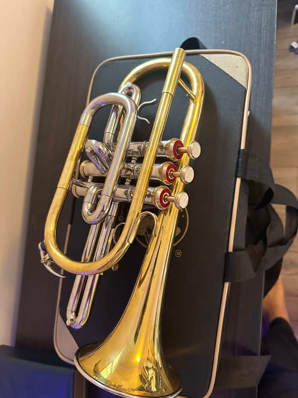 Bb Cornet – Gold/Silver Finish – Complete with Hardcase & Mouthpiece image 1