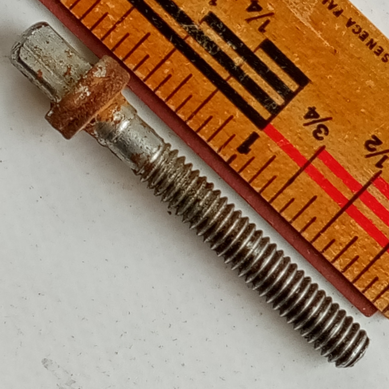 Gretsch 1+ 1 5/8"T-Rod Snare/Tom Drum 12-24 60s Tension-Lug-Screw 1 1/4"Thread*F — main photograph
