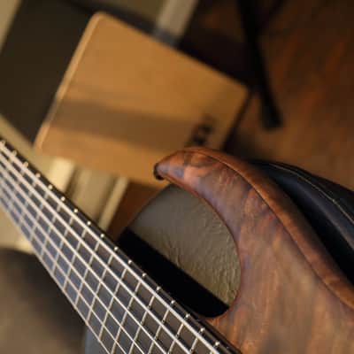 Kiesel Claro Walnut Icon 6 with Aguilar DCB Pickups image 3