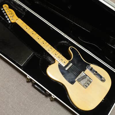 1981 Fender Telecaster with Maple Fretboard Blonde Yamano image 1