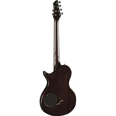 Eko AQUA Standard Electric Guitar - Honey Burst image 6