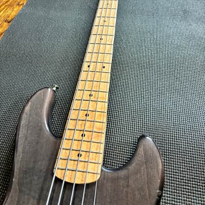 Alien Audio Constellation 5 String Bass image 2