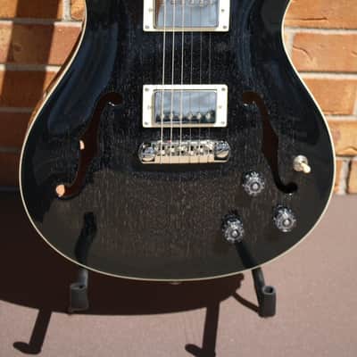 PRS SE Hollowbody Standard-Piezo-Dog Hair Smokeburst image 2
