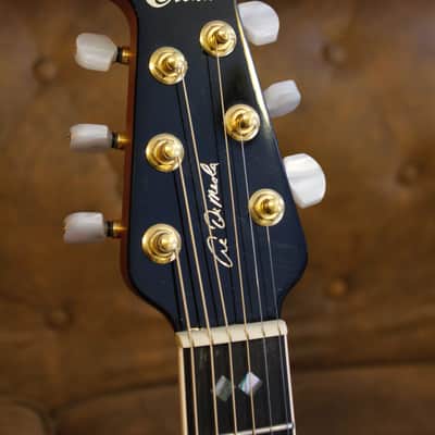 Ovation  Al DiMeola image 10