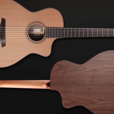 Furch classical guitar GNc 2-CW a, nut width 48 mm (SPECIAL ORDER) image 7