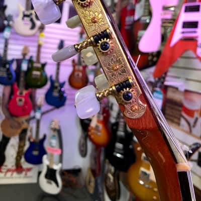 Gibson Chet Atkins Ren Ferguson SST Nylon String Acoustic Electric with Case - Pre Owned image 19