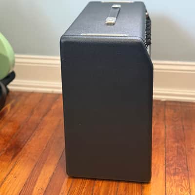 Fender '65 Princeton Reverb Reissue 12-Watt 1x10" Guitar Combo Sweetwater Mod & Cannabis Rex image 4