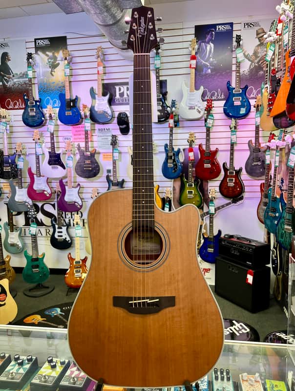 Takamine GD20CE-NS Acoustic-Electric Guitar - Natural Satin image 1
