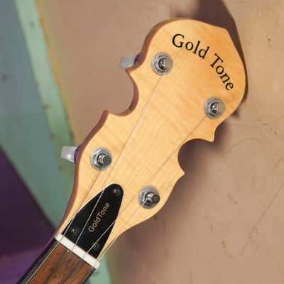 2010s Gold Tone CC-100R Resonator 5-String Banjo (VIDEO! Fresh Setup, Ready) image 3