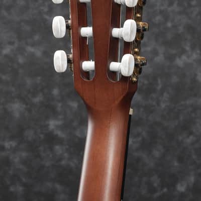 Ibanez AEG50N-NT AEG Nylon String Guitar 6-String - Natural image 2