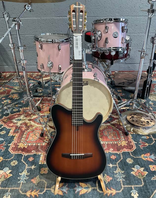Ibanez FRH10NBSF Thinline Nylon Acoustic-Electric Guitar (Brown Sunburst) image 1