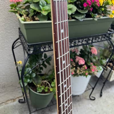 Sterling StingRay Ray35 with Roasted Maple Neck 2018 - 2023 - Black image 7