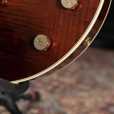 Gretsch G6122T-59 Vintage Select Edition '59 Chet Atkins Country Gentleman Hollow Body with Bigsby Electric Guitar - Walnut Stain Lacquer with Hardshell Case image 16