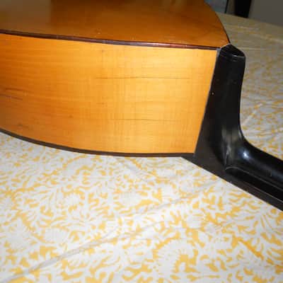 Bandolon = Plus-Size Mandola Variant image 3