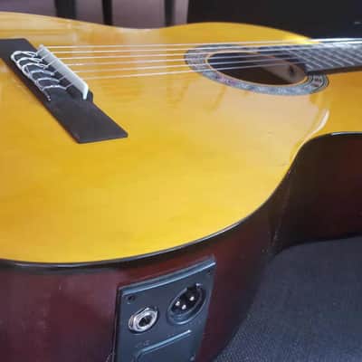 Berkeley Acoustic Classical Guitar w/ 5 Bands Equalizer PreAMP Piezo image 1