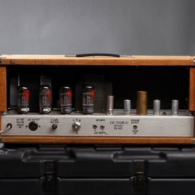 Dumble Dumbleland Special 150W 1978 with flight case image 5
