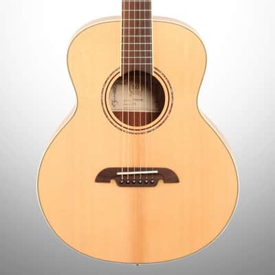 Alvarez LJ2 Little Jumbo Acoustic Guitar (with Gig Bag) image 1