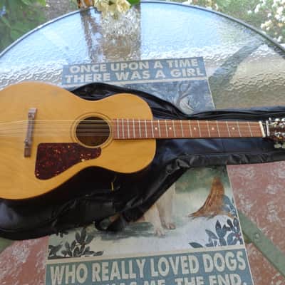 1960's Jackson Guldan Cittern - 10 Strings in B Tuning - Fifths Tuning image 14