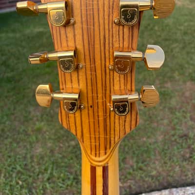 1981 Alembic Distillate 6-string Electric Guitar image 14