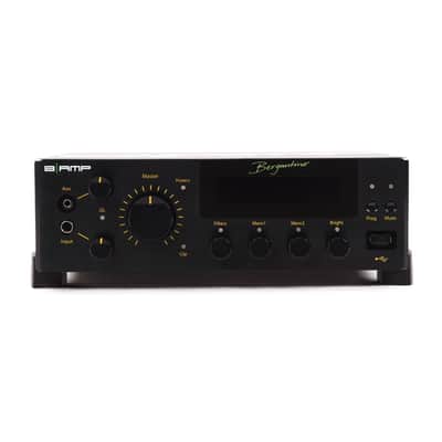 Bergantino B|Amp MKII Bass Amplifier image 1