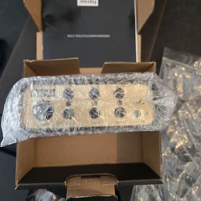 Friedman Tour Pro 1530 Platinum Pack Tour Ready with Rjm Midi Amp Gizmo for Evh 100w and Mesa Amps! Make an Offer! image 11