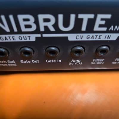 Arturia MiniBrute 25-Key Synthesizer 2012 - 2018 - Black image 8