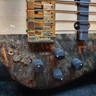 2018 Spector USA NS-5XL 5 String Electric Bass Mastergrade Buckeye Burl Top image 5