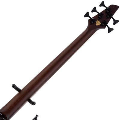 DINGWALL Z3 Cello Hip 5st w/ Burl Maple Top, Roasted Ash Neck, Ziricote Fingerboard/ 2022 NAMM Model image 5