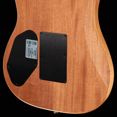 Fender American Acoustasonic Stratocaster Black (260) image 2
