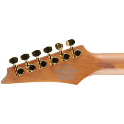 Ibanez SEW761FM Flame Maple Top HSS Guitar w/ Dimarzio Pickups - Natural Flat image 9