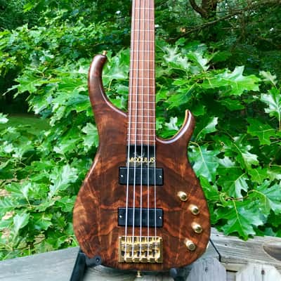 Modulus Q5 lined fretless 1999 figured Walnut top image 8