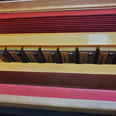 Titano Tiger Accordion Blue WOW!! image 14