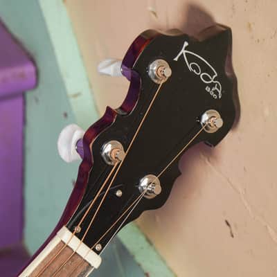 2020s Koda (McNeela) Resonator Tenor Banjo (VIDEO! Fresh Work, Ready) image 3