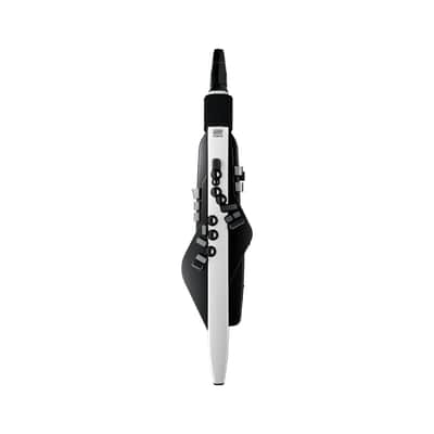 Roland AE-20 Aerophone Digital Wind Instrument image 3