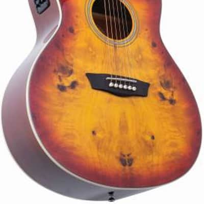 Washburn DFBACEA Deep Forest Burl Grand Auditorium Acoustic Electric Guitar Amber Fade Amber Fade image 6