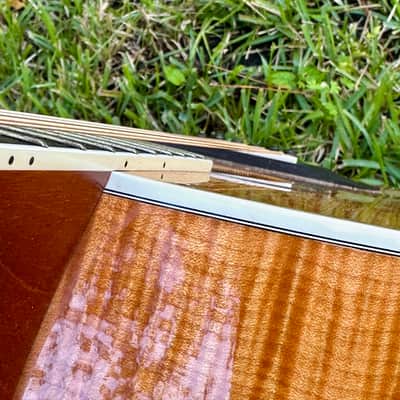 1996 Taylor 655, Blonde Jumbo 12 String, OHSC image 6