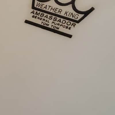WOW! *1950s 1960s REMO 13" DRUMHEAD * Nearly NEW! * White Coated *HUGE CROWN LOGO * (Large Crown Logo) Vintage head image 4