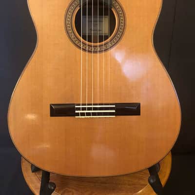Kolya Panhuyzen Classical Guitar 2012 Cedar/Ziricote image 2