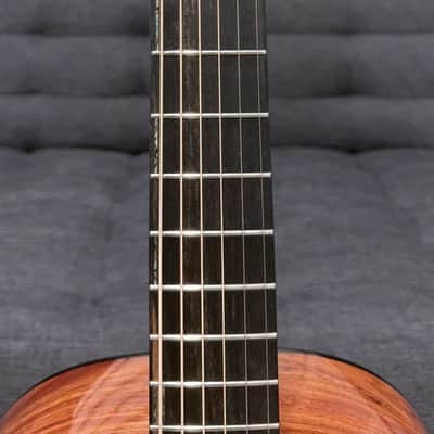 Dowina Aura - Old Stock Sitka Bearclaw Spruce/Macacuba with LR Baggs Anthem and custom Italian Hardshell Case *One-of-a-kind* image 15