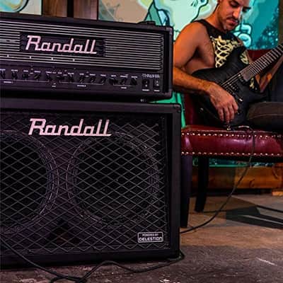 Randall RD212-V30 Diavlo Series 2 X 12-Inch Vintage 30 Angles Baffled 130-Watt Guitar Cabinet image 9