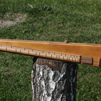 eCitera Electric Zither image 2
