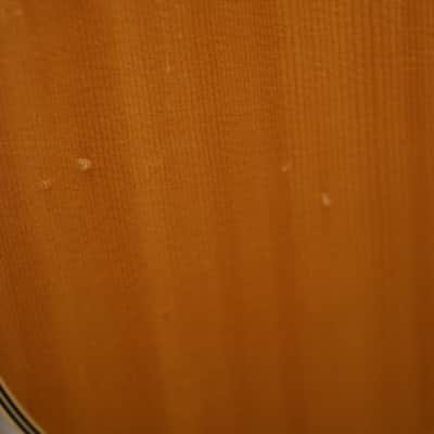 Vintage Ovation Celebrity CC 11 1970's Acoustic Guitar with the original Ovation hardshell case image 8