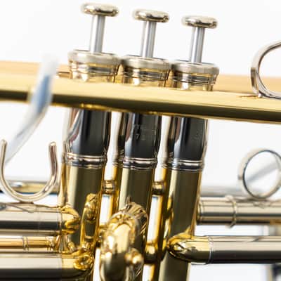 Yamaha YTR-8335IIG Xeno Bb Trumpet with Gold Brass Bell (SN 5731xx) image 7