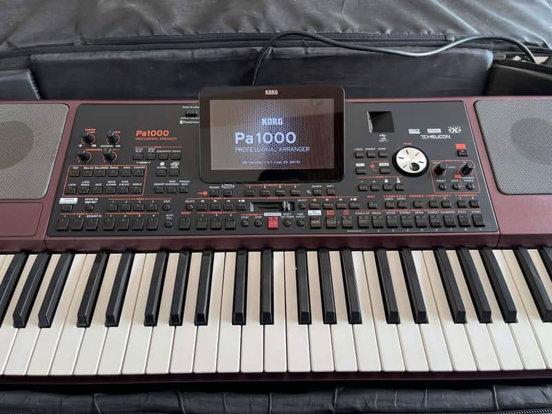 Korg PA1000 61-Key Professional Arranger 2017 - Present - Red image 1