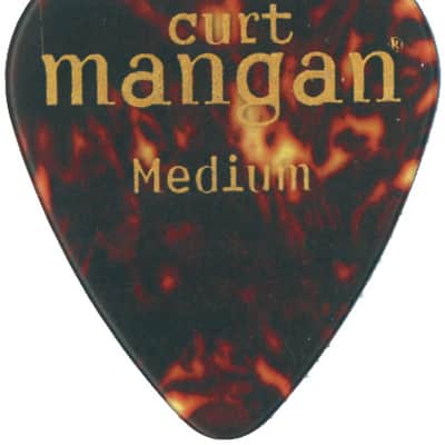 Medium Tortoise Shell Pick image 1